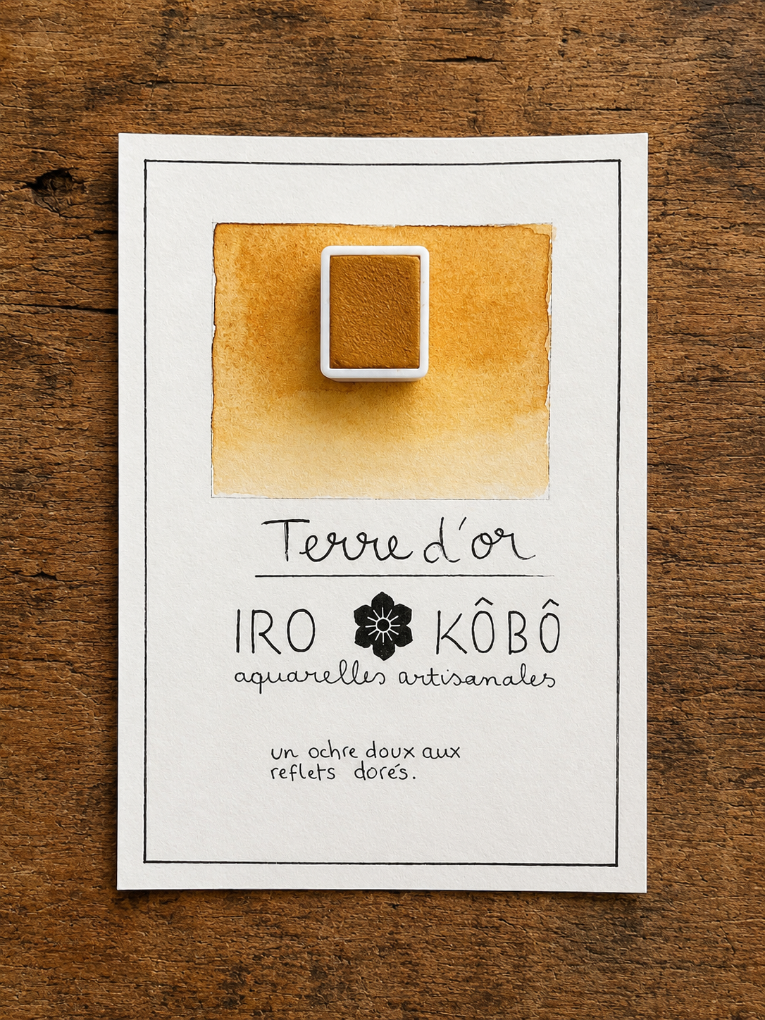 Demi godet // Terre d’or